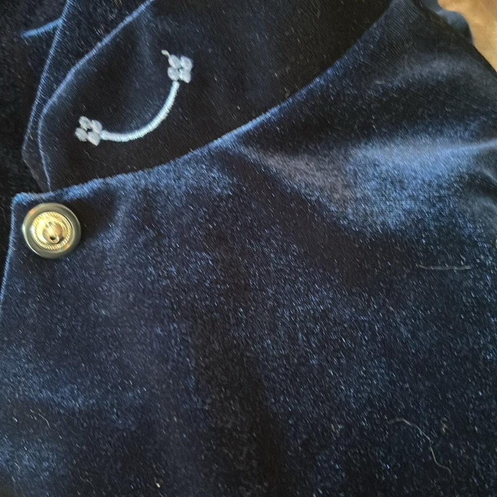 Coldwater Creek Blue Velvet Blazer - Picture 9 of 9